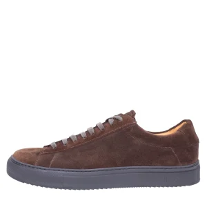 Berwick 1707 Stringate 501